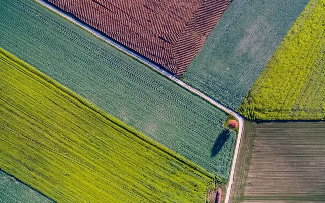 Poljoprivreda — procena zemljišta i useva, sudsko veštačenje